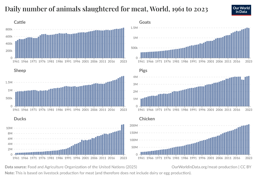 Daily number of animals slaughtered for meat